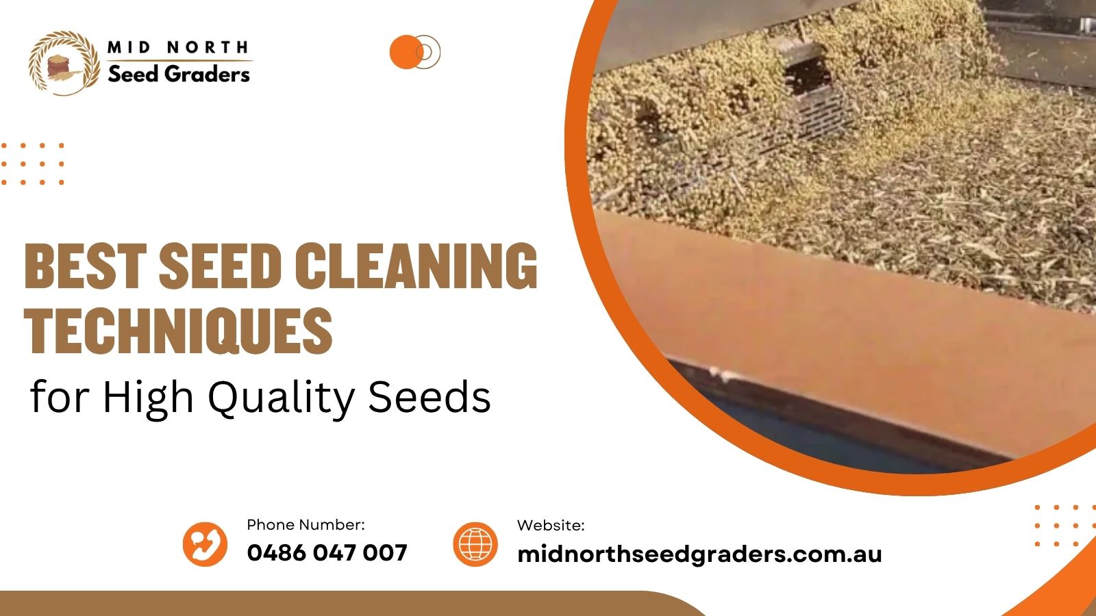 Best Seed Cleaning Techniques for High Quality Seeds