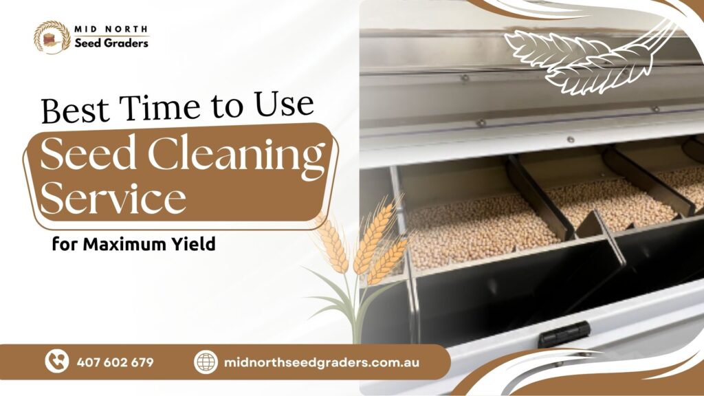 Seed Cleaning Service